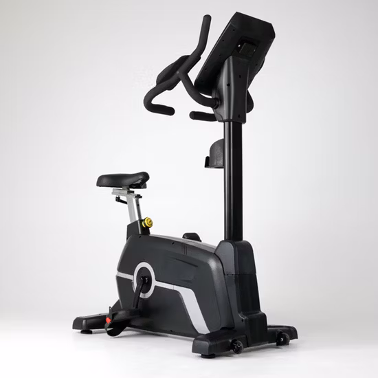 Fitness Gym Exercise Bike Indoor Exercise Equipment Bike for Commercial Club